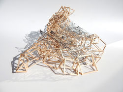 Basswood and Wire Topography