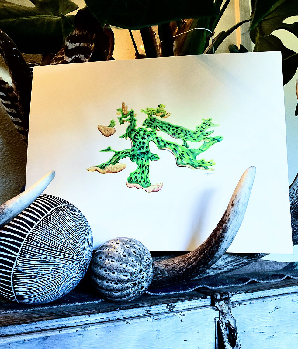 Thumbnail: leafy lichen print