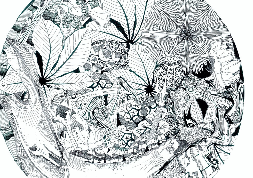 Thumbnail: curiosities print (b&w)