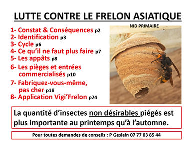 Lutte contre les frelons