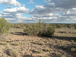 20260401_182851.jpg