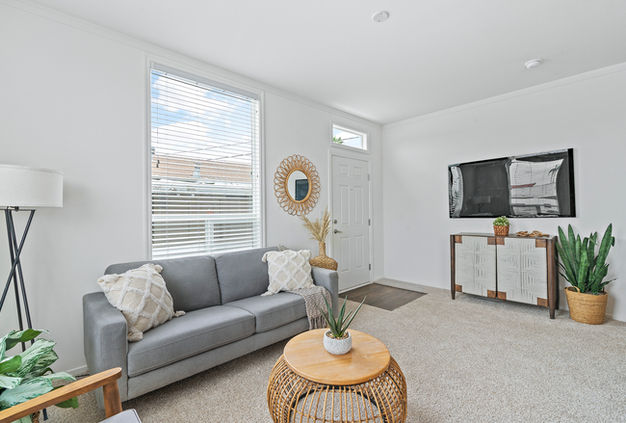 Bright living room with gray couch, TV, and plants