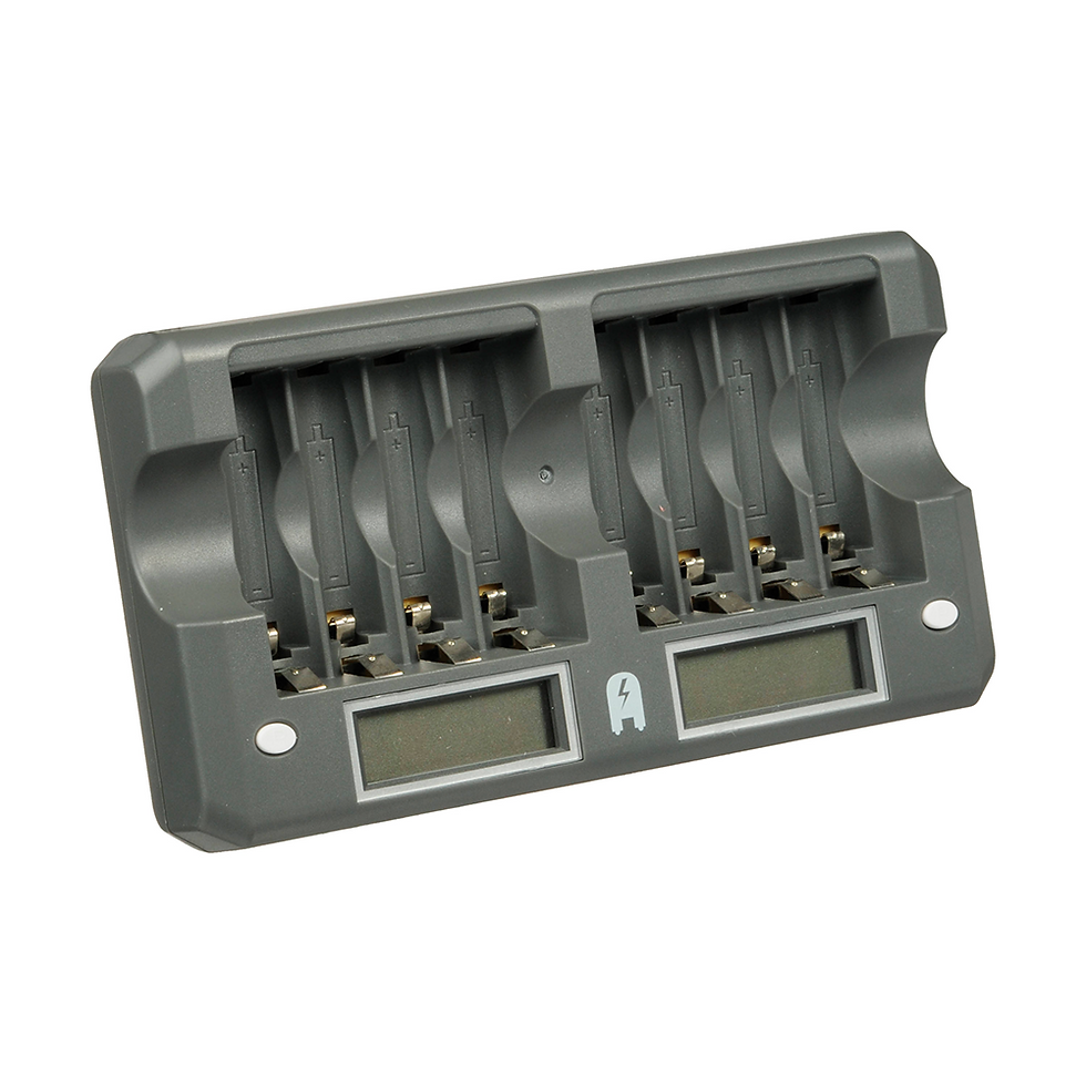 CARGADORES DE BATERÍAS WATSON