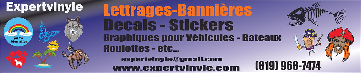 BannerExpertvinyleRez.jpg