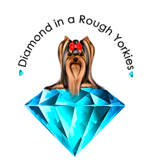logo-transparent (1).png