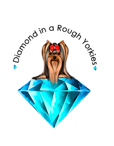logo-transparent (1).png