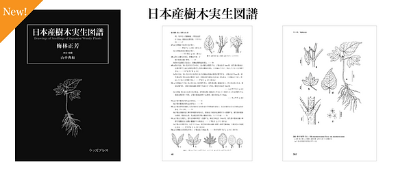 日本産樹木実生図譜_TOP_3x.png