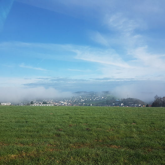 Wald-Michelbach