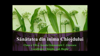 Sănătatea din inima Chiojdului, Școala Gimnazială „Constantin Giurescu”