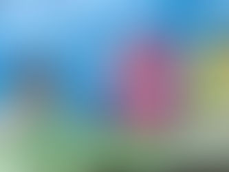 Ne implicăm pentru un oraș mai curat!, Școala Gimnazială ”Horea, Cloșca și Crișan”, Turda