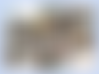 Prietenii Naturii, Școala Gimnazială ,,Eftimie Murgu” Lugoj, Timiș