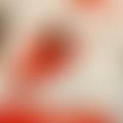 Intensive & Camps & Classes - Oh My!