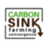 CARBON (4).png