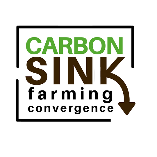 CARBON (4).png