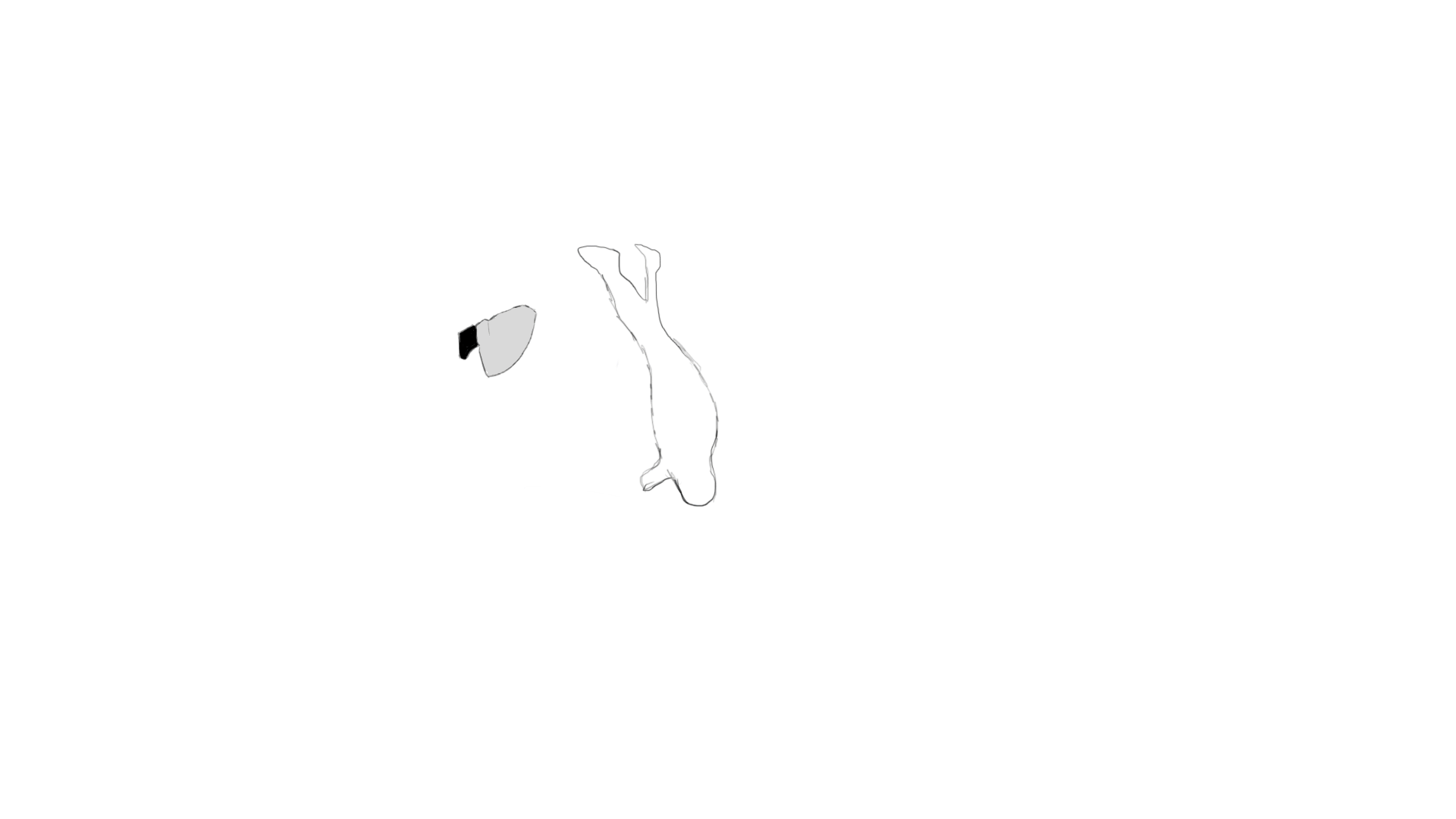 Rotoscope 2.gif