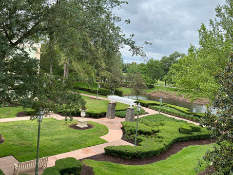 Disney World for First-Time Families: