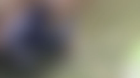 Was Killing of Cincinnati Gorilla Justified?