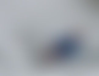 Training for Europeans 2015