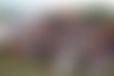 The Podium of Competitors