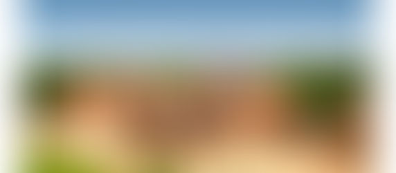 Carfax Consultants Visit Dulwich College