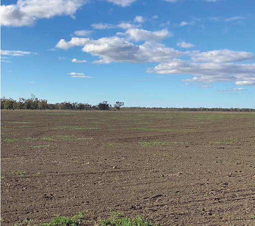 Screen Shot 2020-09-23 at 9.50.19 am.png