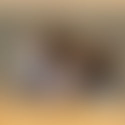 Keammerer Family on their 400-head ranch near Piedmont, South Dakota