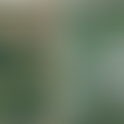 You Can’t Fix Salinity with a Box