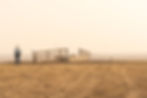 Corn plants under drought stress with leaves rolled inward, showing early signs of moisture deficiency in a dry field.

Links: There is one link in the text for SD Grazing Exchange and then we have 3 other links at the bottom.