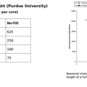 Table showing corn root weight at different soil depths comparing plow, chisel, and no-till systems from a Purdue University study.Alt Text: Graph showing seasonal changes in corn root length and above-ground dry weight across growth stages in Indiana