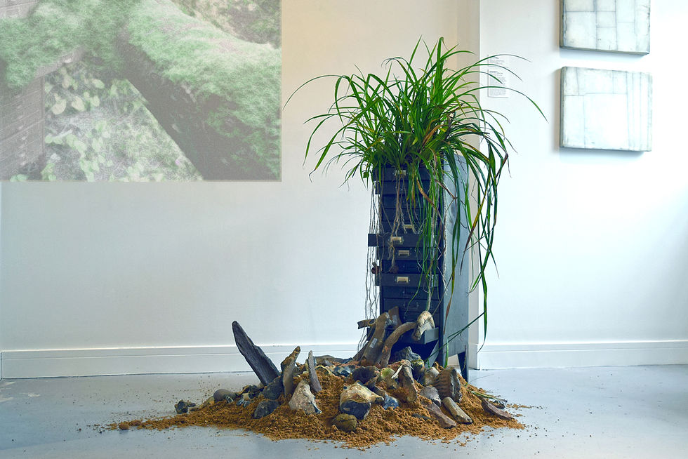 Installation and animation at Groundwork Gallery