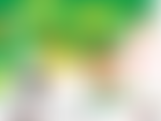 Mapping Asia's sanctuaries and rescue centers