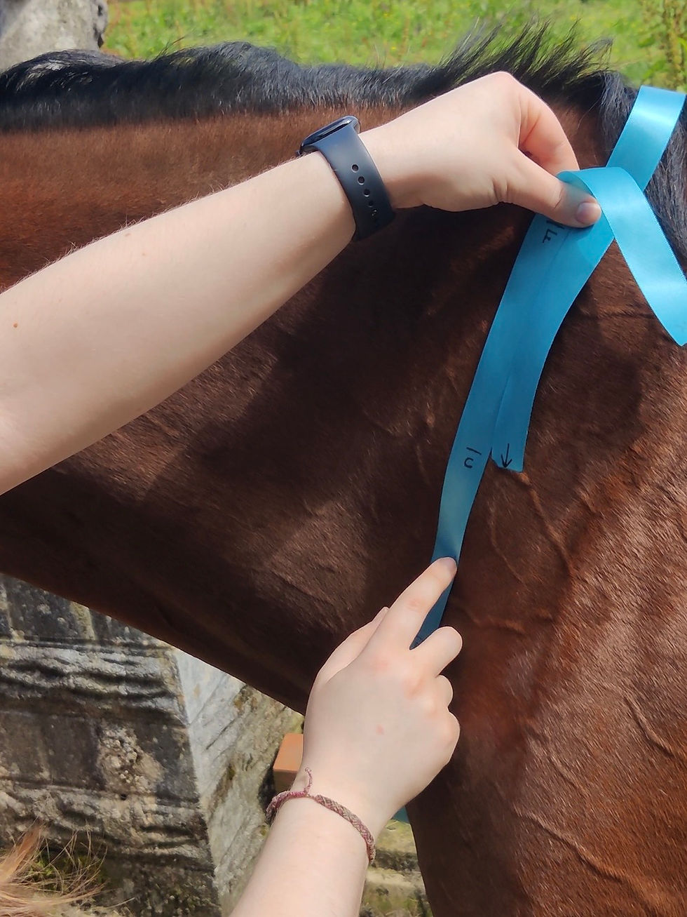 Thumbnail: Neck Measuring Tape for Beaux Equestrian Neckropes