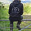 Thumbnail: Classic Beaux Embroidered Hoodie - Black