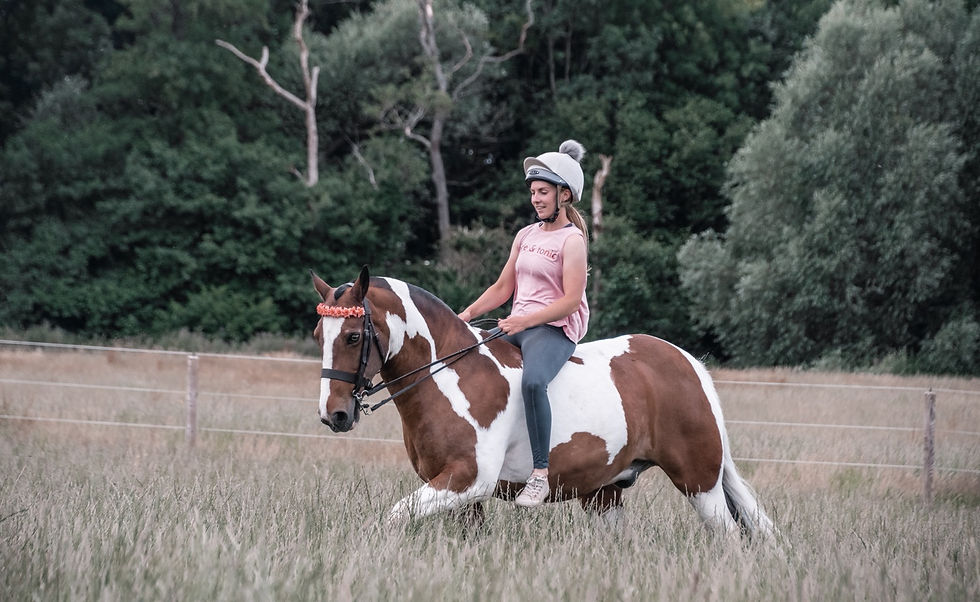 Thumbnail: Sunset Flower Browband