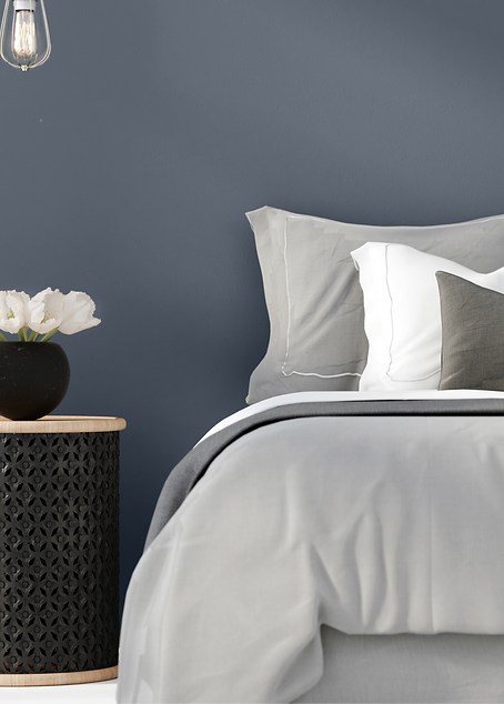 Modern Bedroom_edited.png