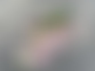 Stolperstein mit Blumen