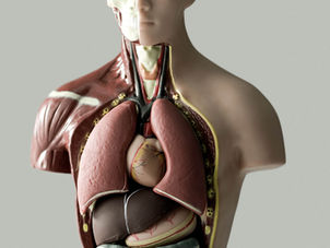 La détoxification : pour qui ? Pour quoi ? Comment ?