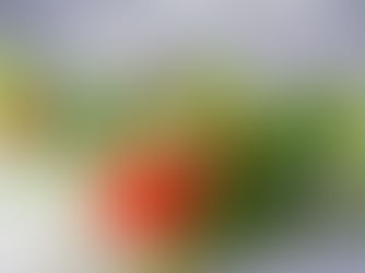 Manger vivant quand il fait chaud : vitalité, fraîcheur et plaisir au cœur de l’été