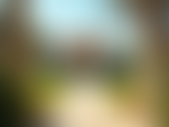 Exclusive Buyers Agents: Algarve's Property Allies