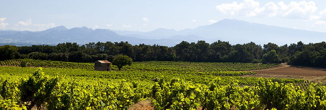 Rhone.jpg
