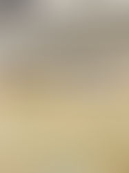 Basketbol Kortunda Parke Kullanımı