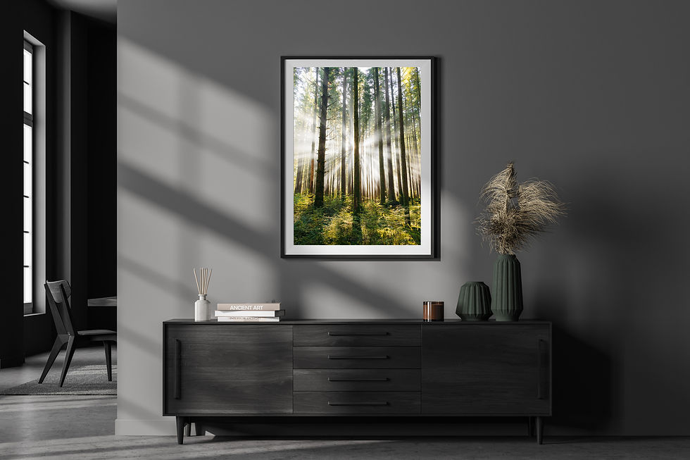 Thumbnail: Light Rays (Vertical)