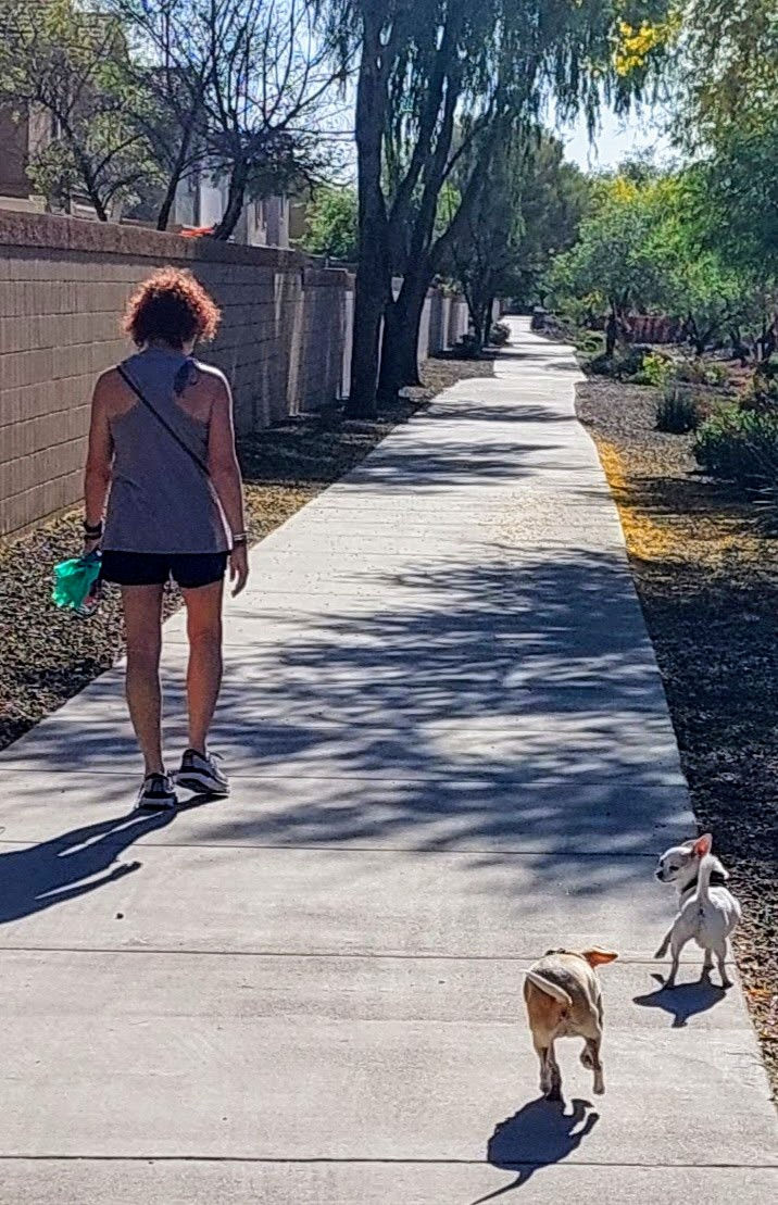 Woman walking two small dogs along a quiet neighborhood sidewalk during recovery from hip surgery, symbolizing healing, resilience, and taking one step at a time.
