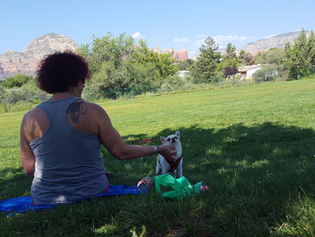 A woman sits on a blanket in a grassy park with her two small dogs in Sedona, Arizona. The iconic red rock mountains and blue sky create a peaceful backdrop.