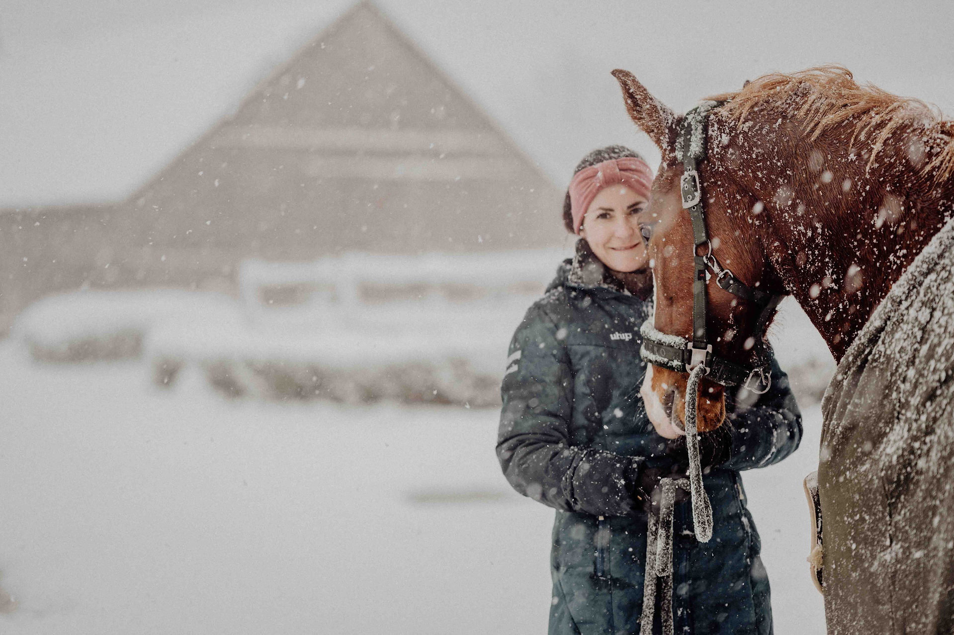 Ungestellte Momentaufnahmen mit Pferd im Schnee