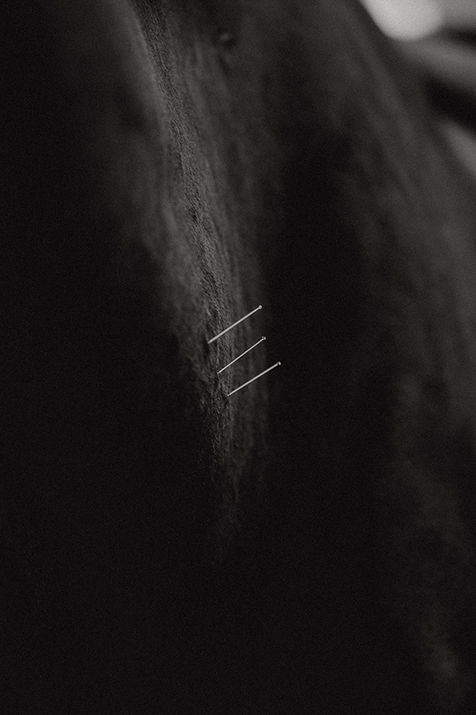 Dry Needling Nadeln im Pferdehals