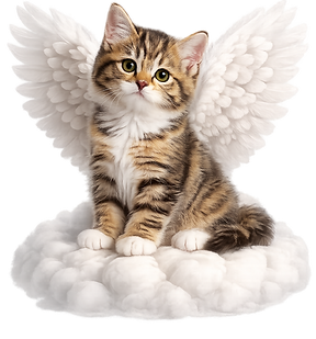 gatitonube.png