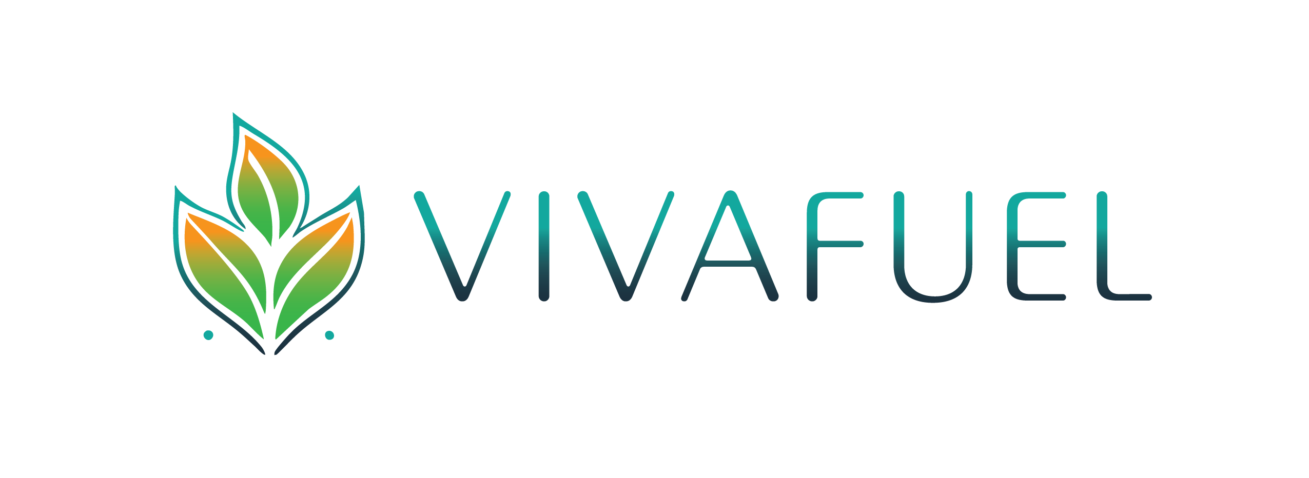 VIVAFUEL_logo_color.png