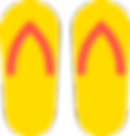 Flip Flops