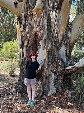 clare_tree_edited.jpg